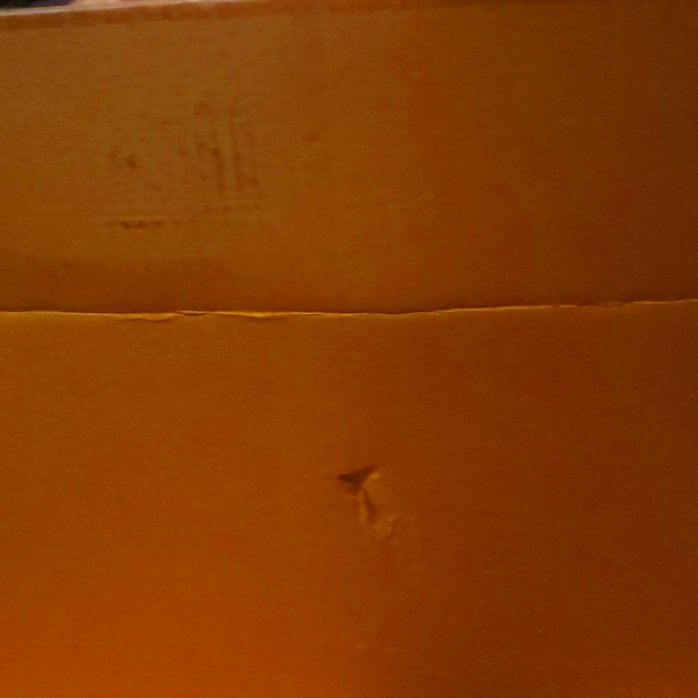 Mystery boxes sm med or LG prices start at 30 for sm adult baby or child